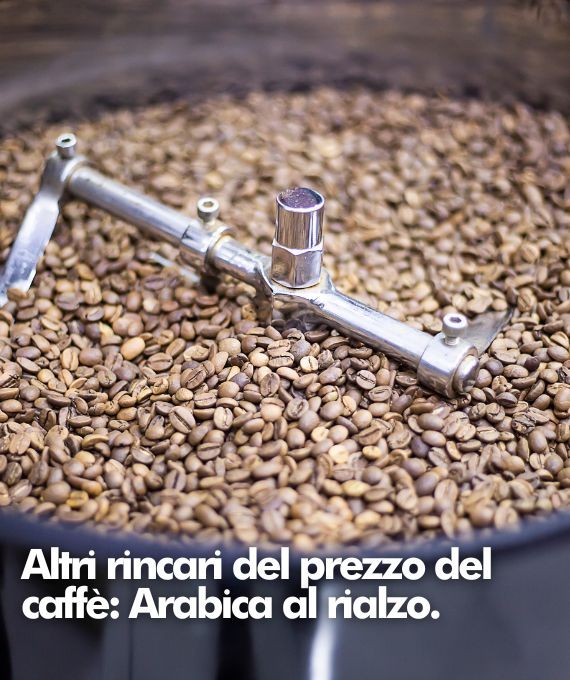 Il 2025 porterà un altro rincaro del prezzo del caffè: Arabica al rialzo.